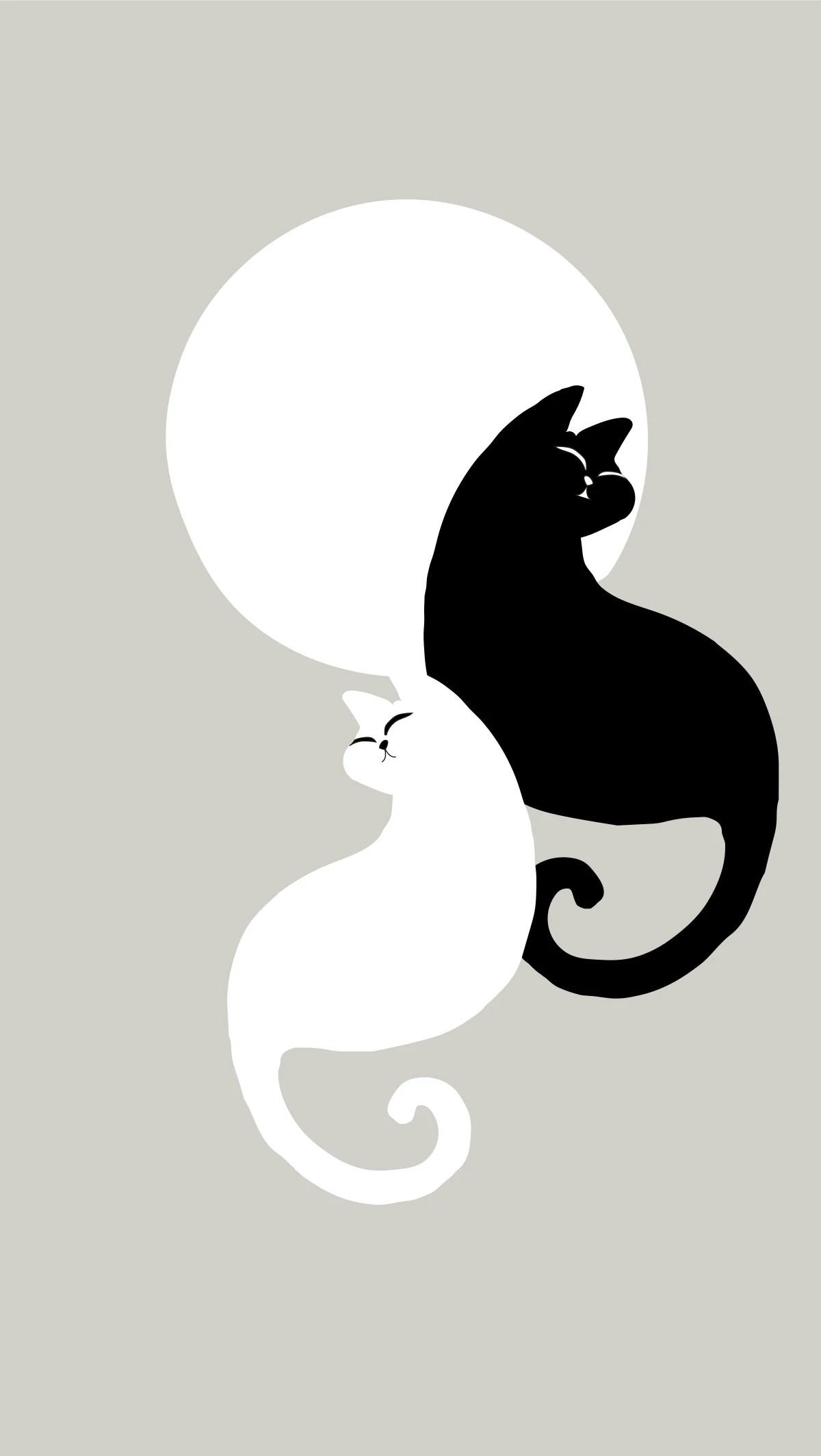 Cat yin-yang