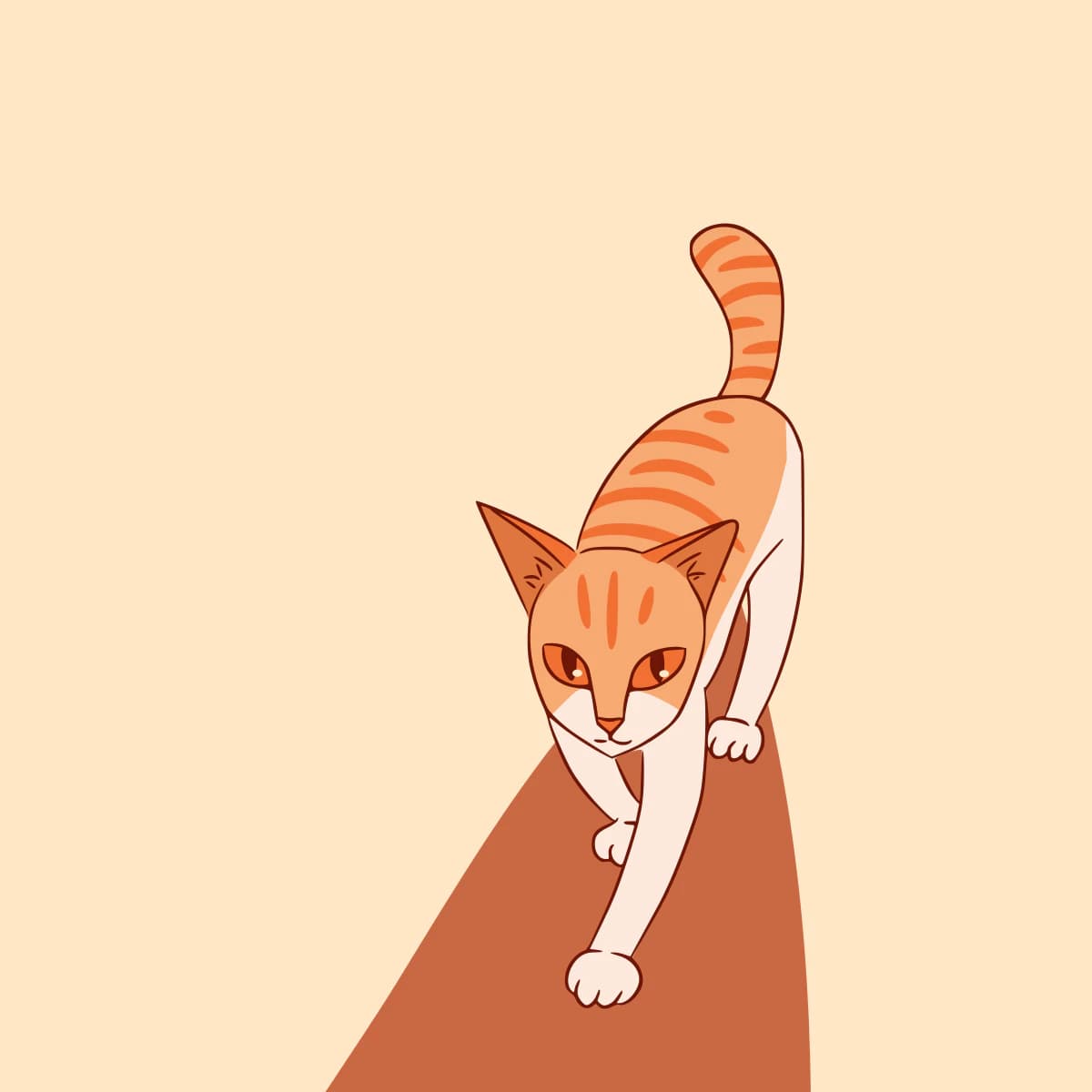 Confident cat