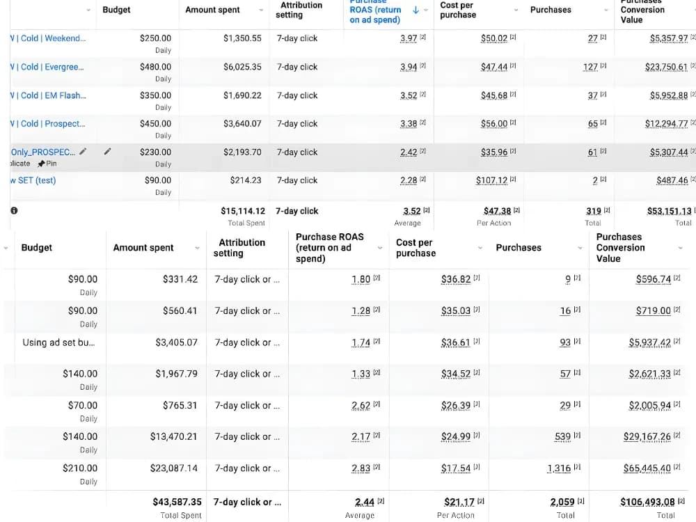 Meta Ads Manager results