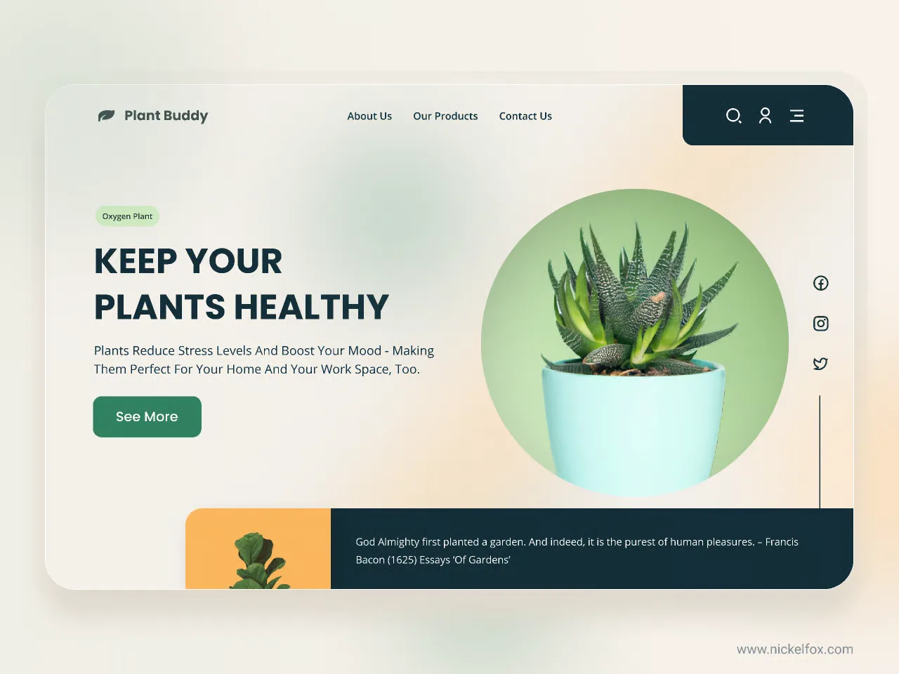 Plant shop website